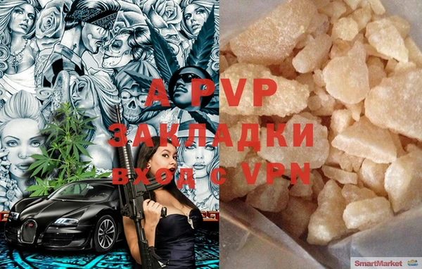 сатива Арсеньев