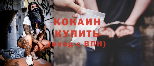 сатива Арсеньев