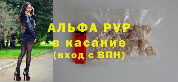 сатива Арсеньев